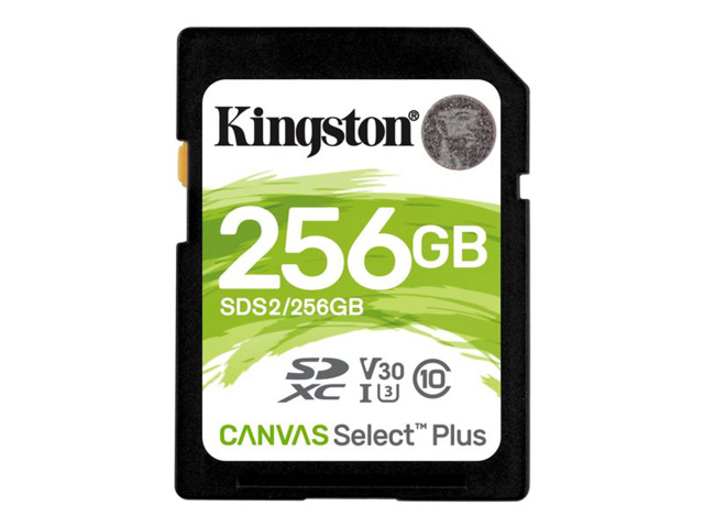 KINGSTON TARJETA SDS2 256GB