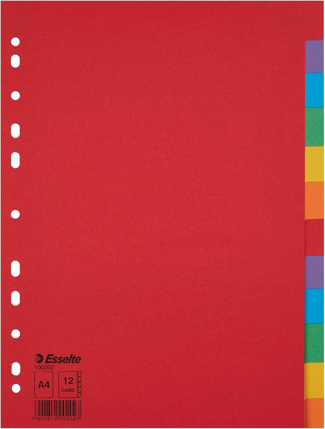 ESSELTE SEPARADOR A4 5 COL 10U