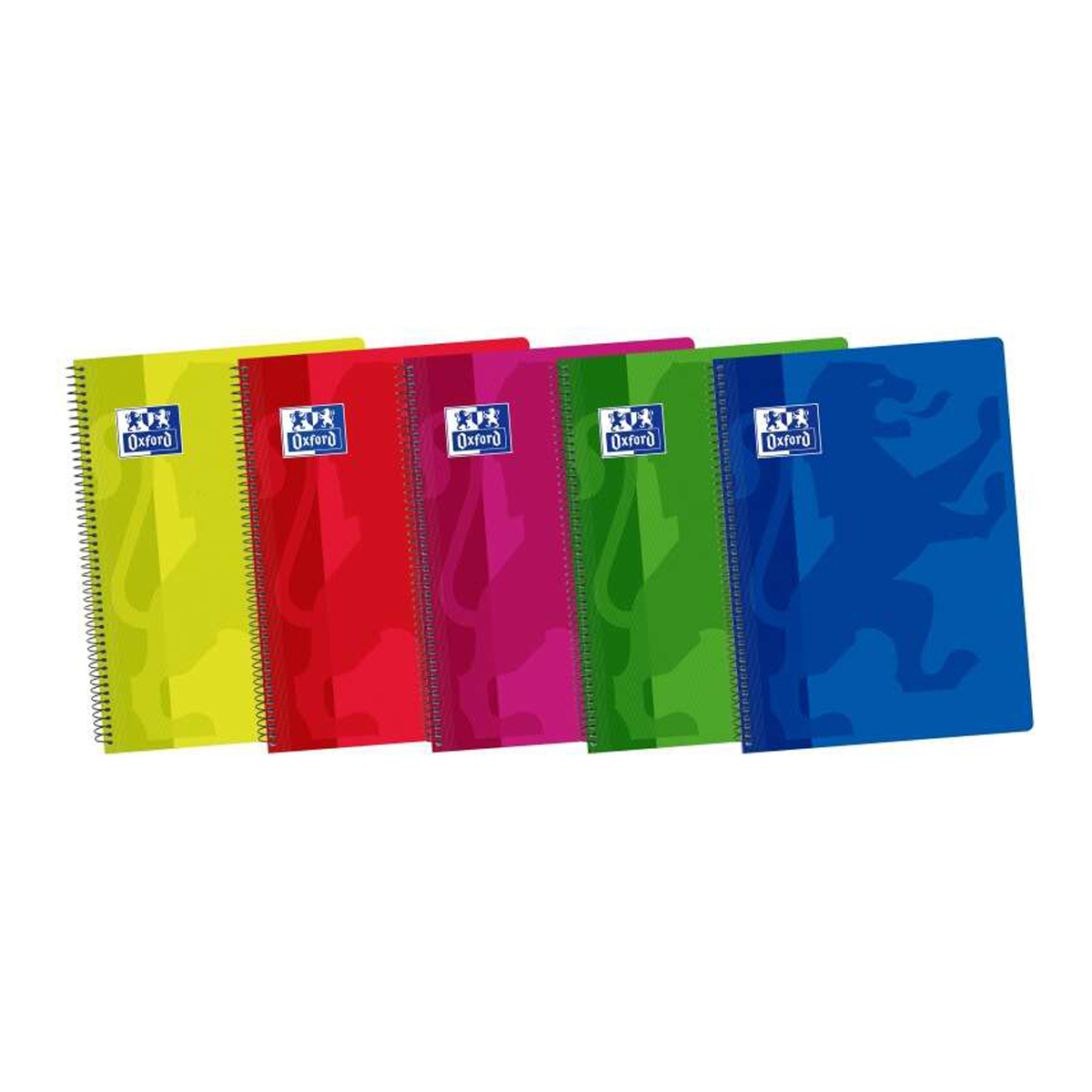 OXFORD CUADERNO FOLIO 1 LIN 5U