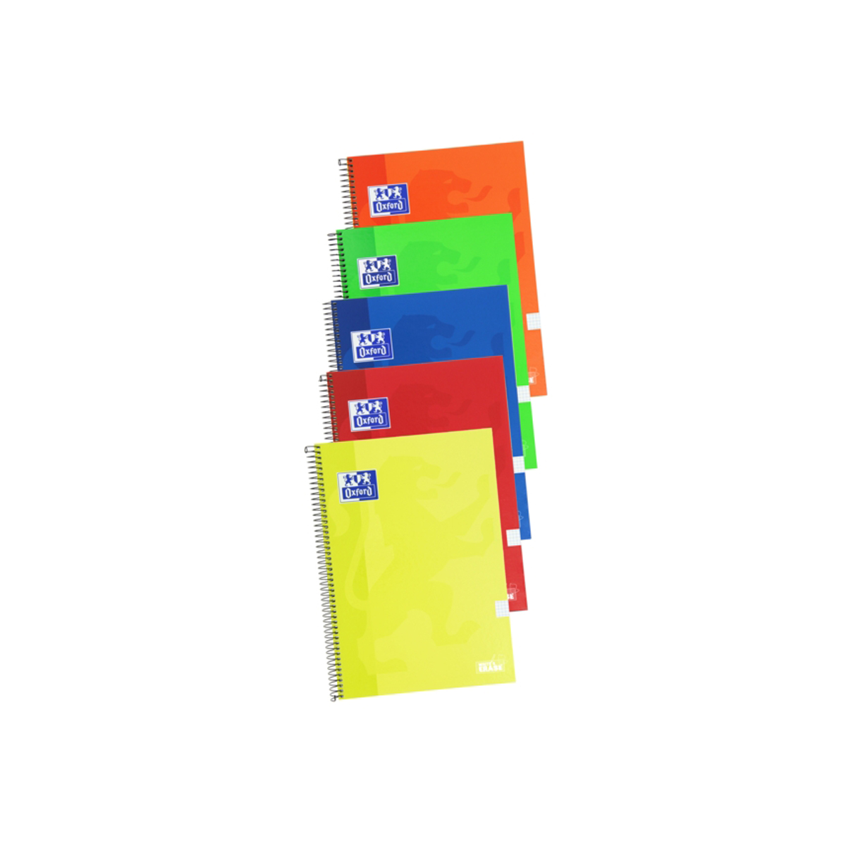 OXFORD CUADERNO FOLIO 4X4 5U