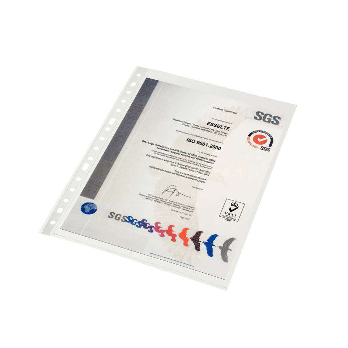 ESSELTE FUNDA FOLIO PP 10U