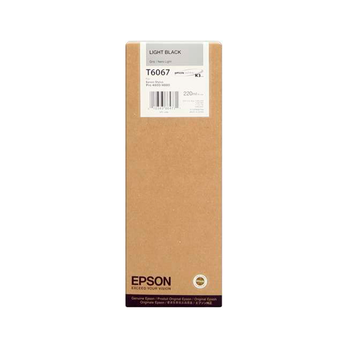 EPSON TINTA GRIS T606700