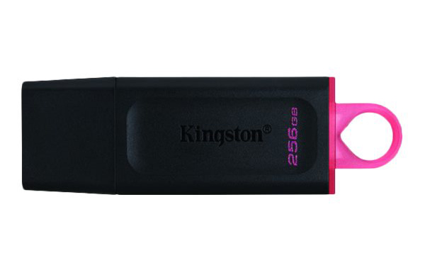 KINGSTON USB 3.2  DTX 256GB