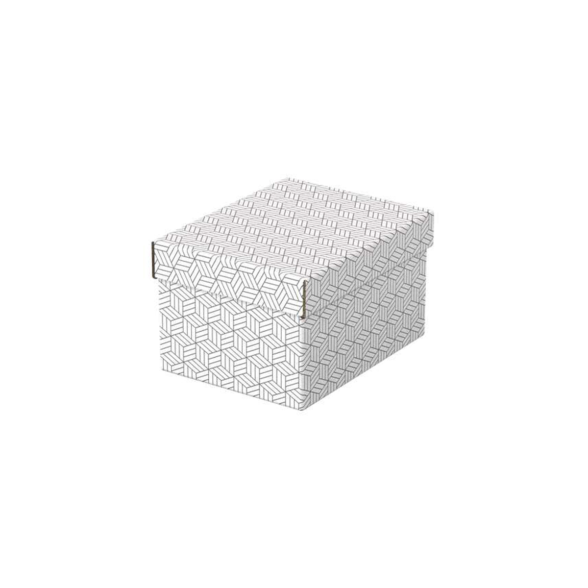ESSELTE CAJA 200X150X255MM 3U
