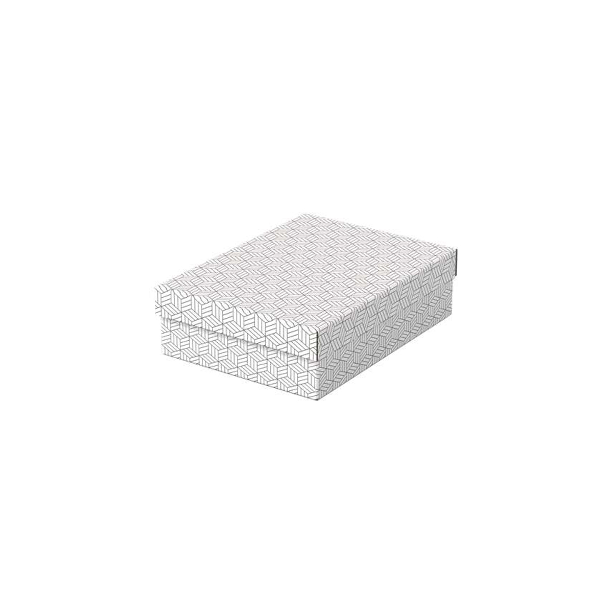 ESSELTE CAJA 265X100X360MM 3U