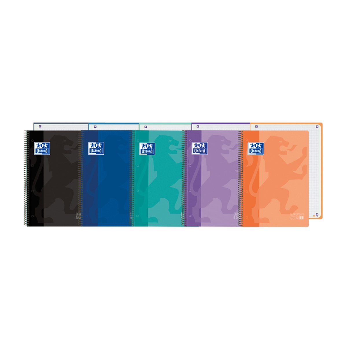 OXFORD CUADERNO A4+ 5X5 5U