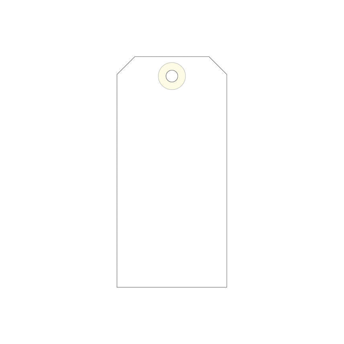APLI ETIQUETA COLGANTE 120X57