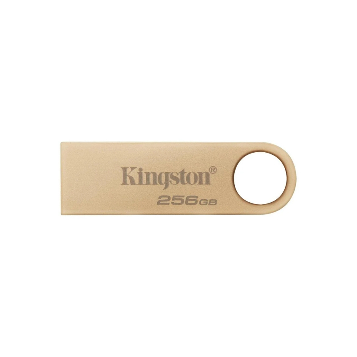 KINGSTON USB 3.2 DTSE9G3 256GB